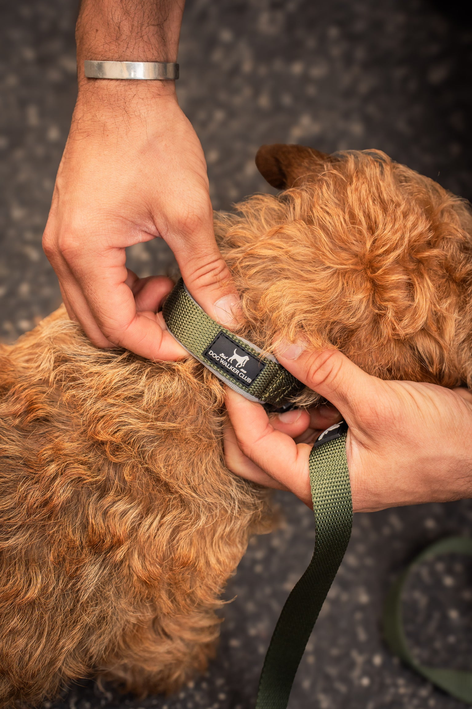 Guinzaglio chiusura standard