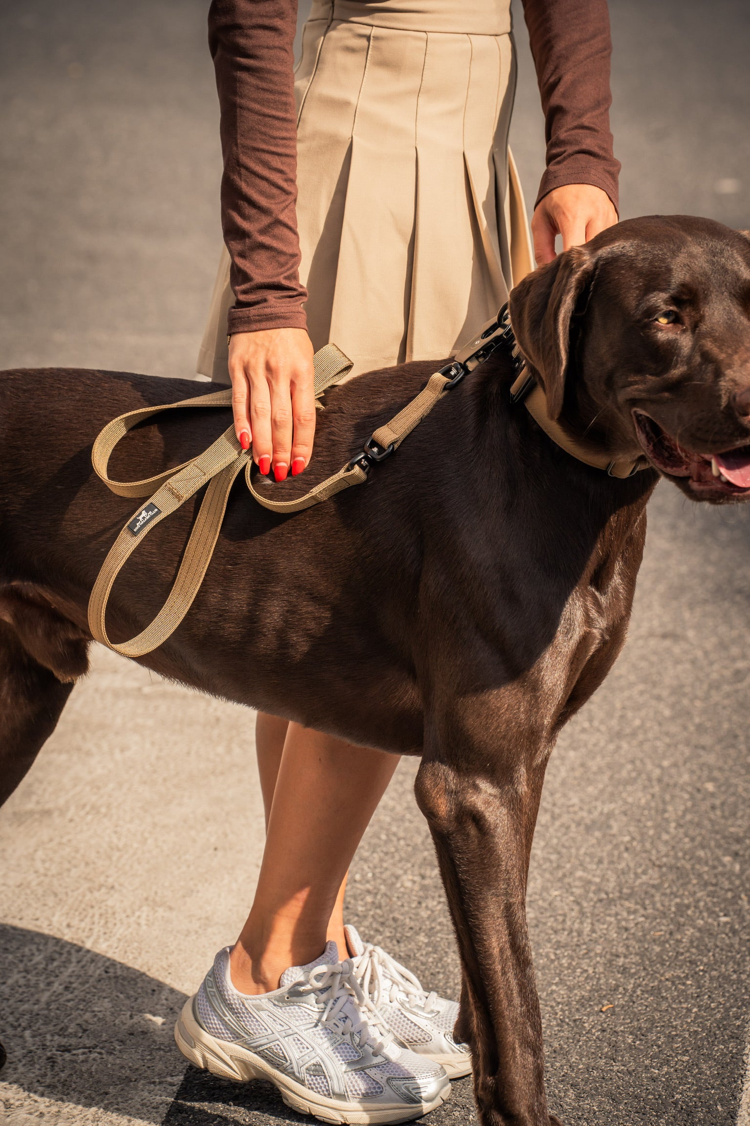 Guinzaglio tecnico chiusura DWC